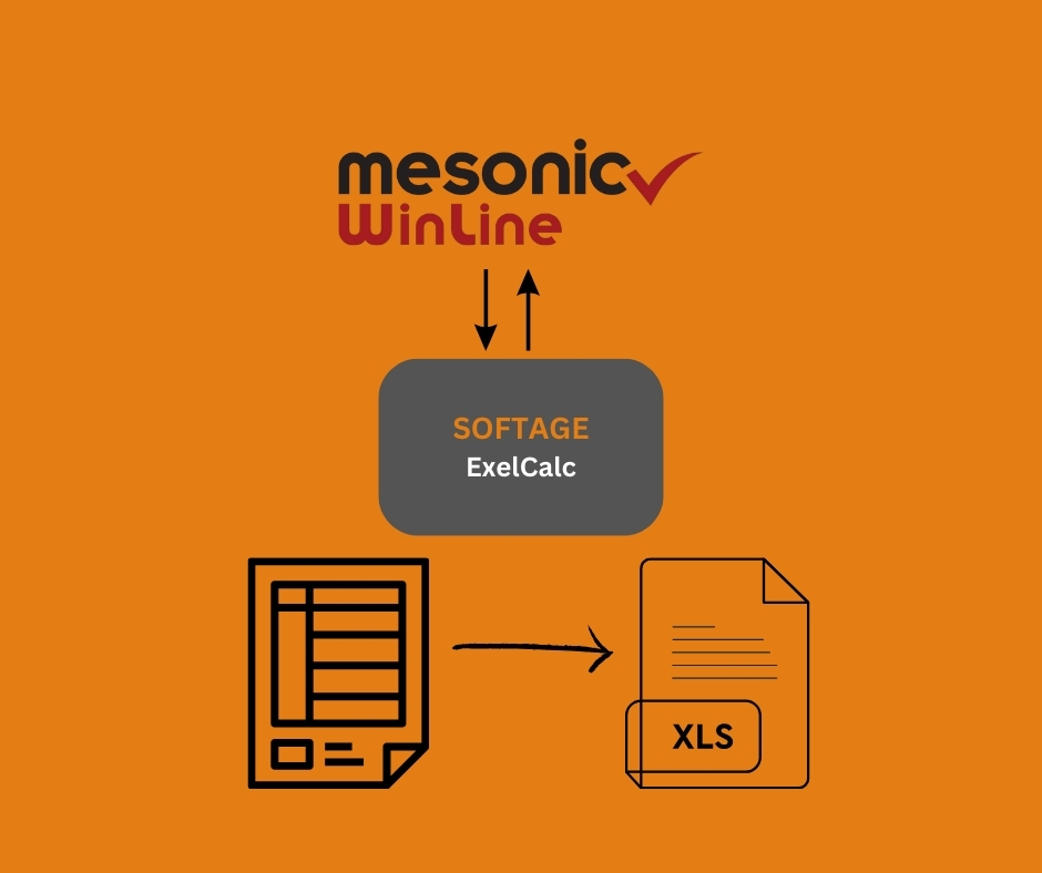 SOFTAGE Eigenentwicklung Excel, Microsoft 365 