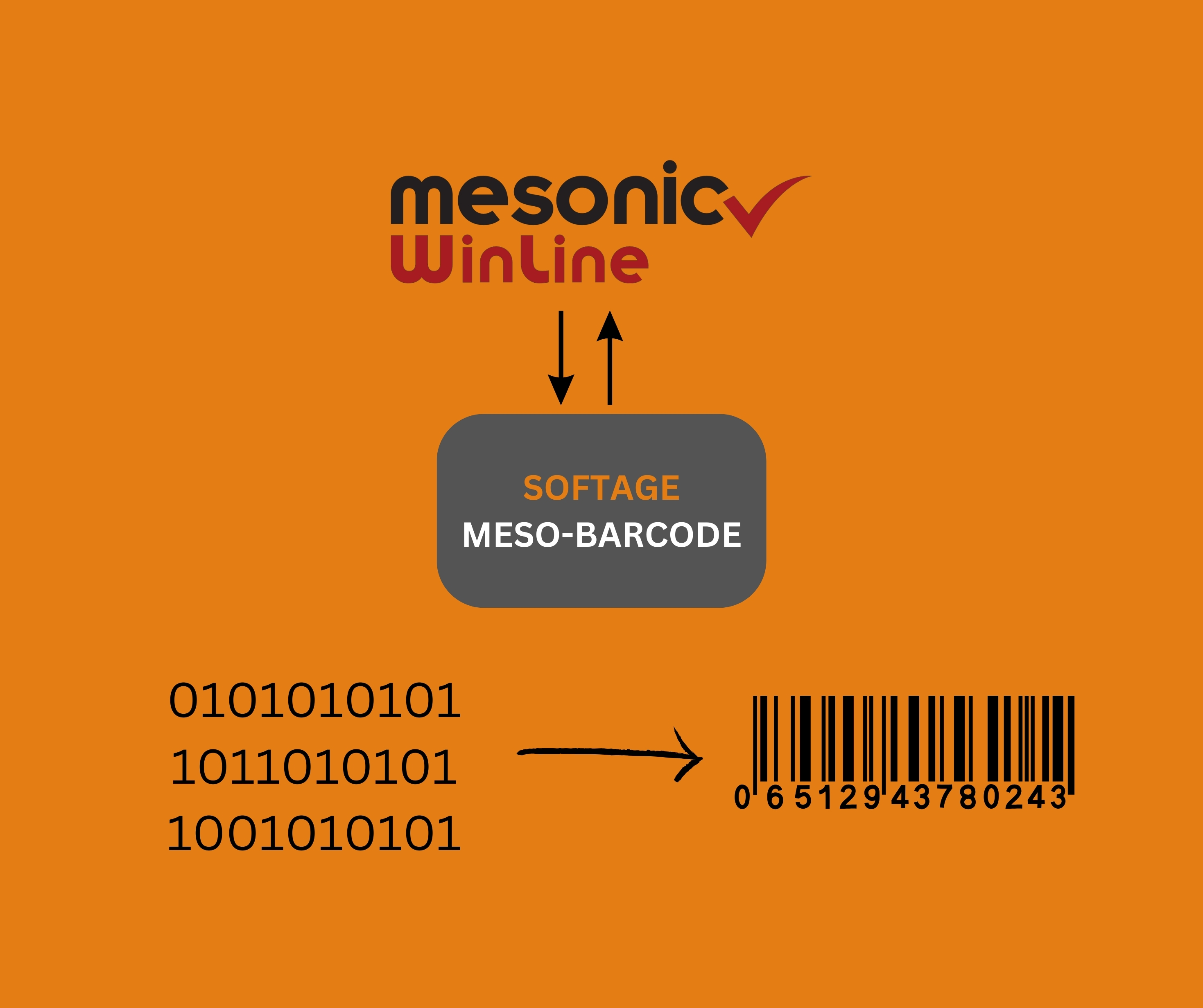 SOFTAGE Anbindung Barcode Konvertieren mesonic WinLine 