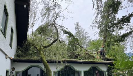 SOFTAGE ist wieder erreichbar nach Sturmunglück