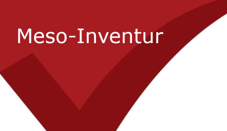 Meso-Inventur