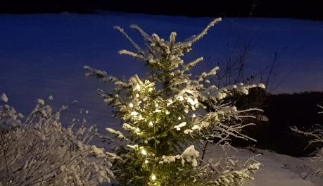 Wir wünschen Ihnen von Herzen ein harmonisches und fröhliches Weihnachtsfest!