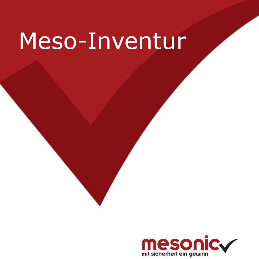 Neues Modul MESO-Inventur: Einfache Erfassung und Datenimport von Inventurerfassungszeilen
