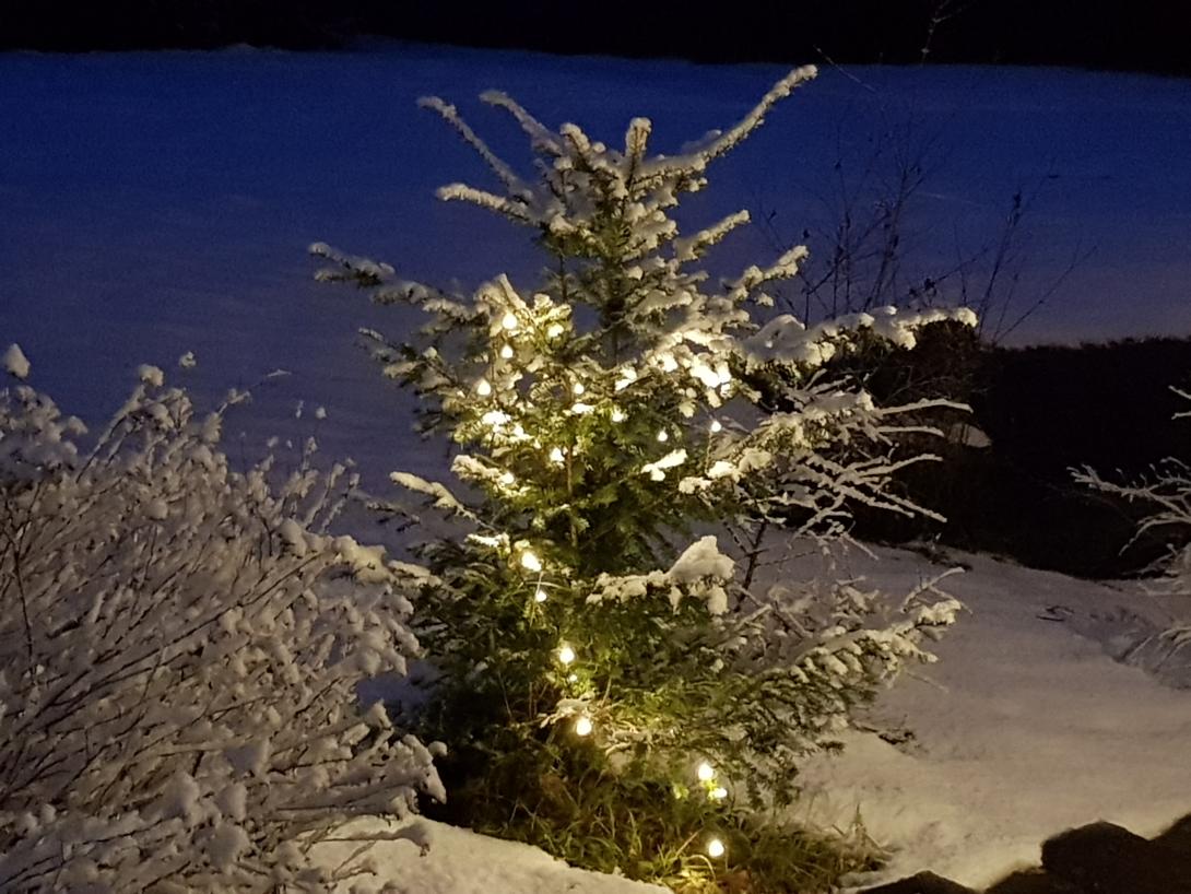 Wir wünschen Ihnen von Herzen ein harmonisches und fröhliches Weihnachtsfest!